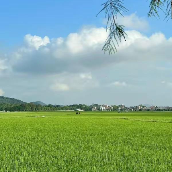 小丽在上海