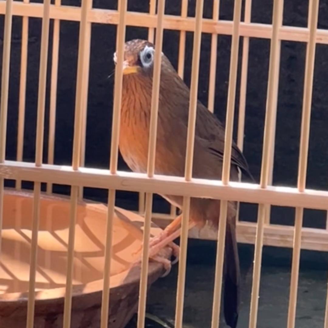 那一瞬间
