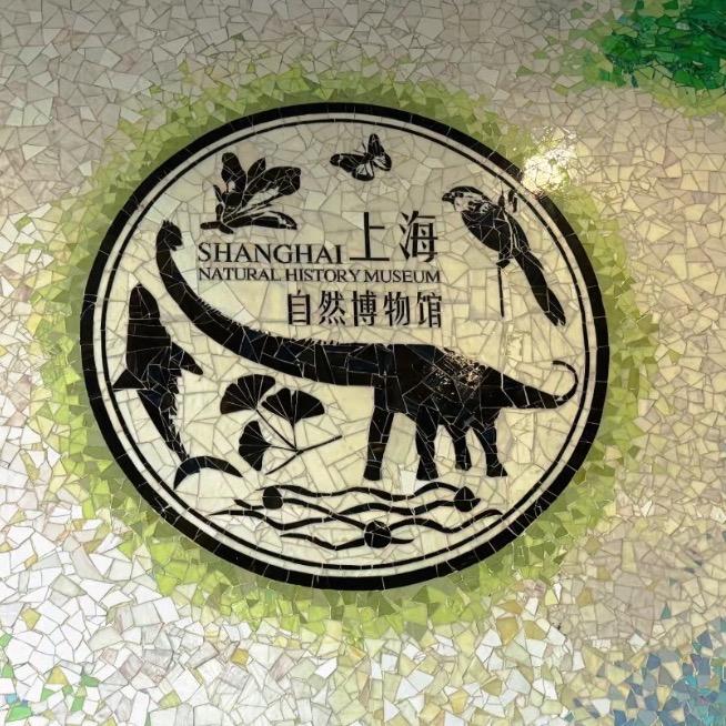 上海自然博物馆门票（申灵奇境XR）
