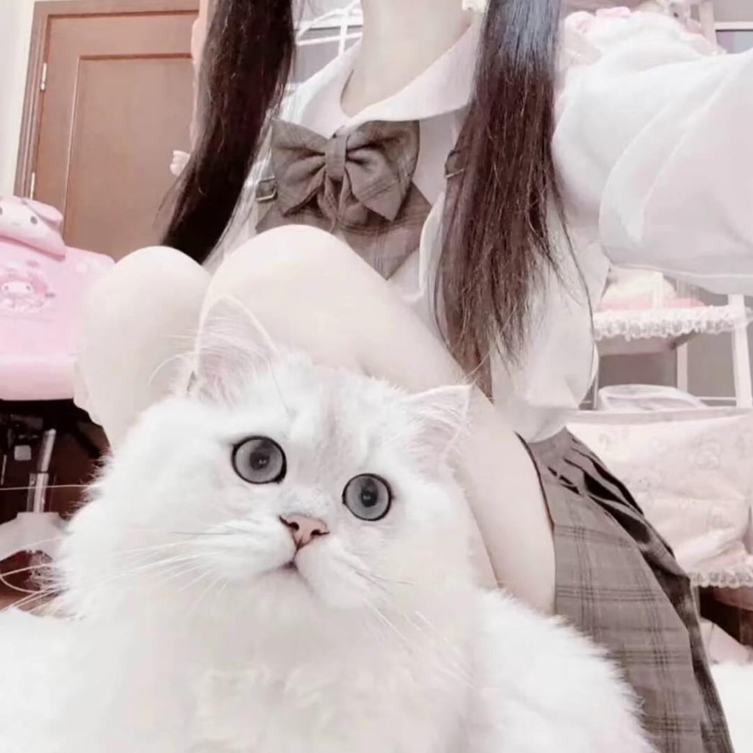 不可爱
