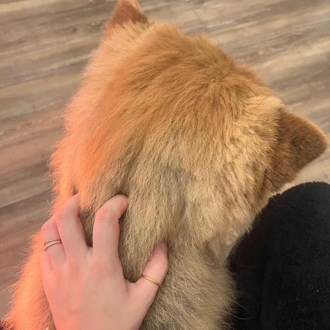 我的秘密小屋
