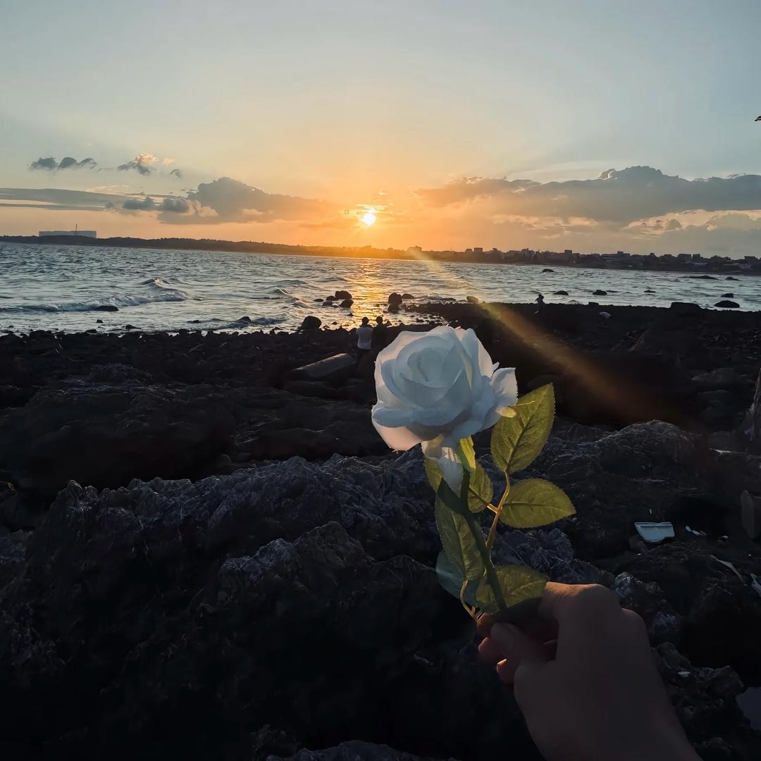 ⚓️惘  川🇨🇳