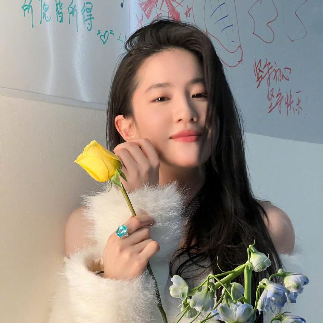 松岛兔子