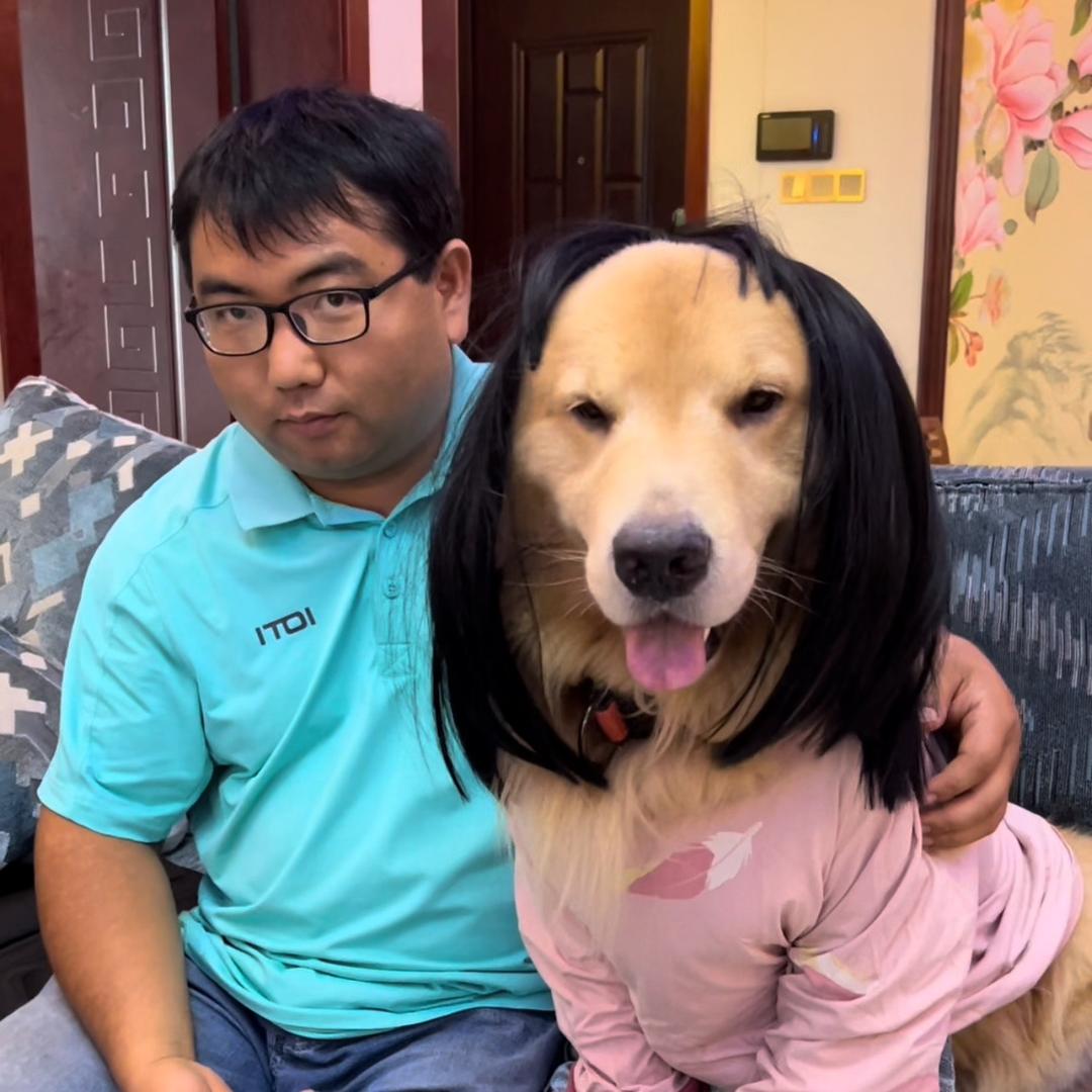 米乐金毛