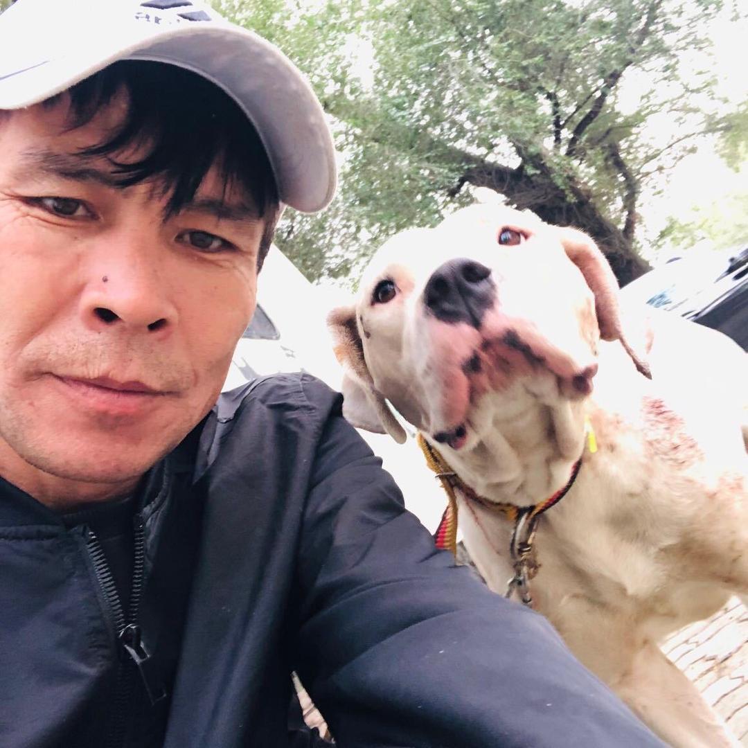 新疆骑马犬猎---机油手阿西