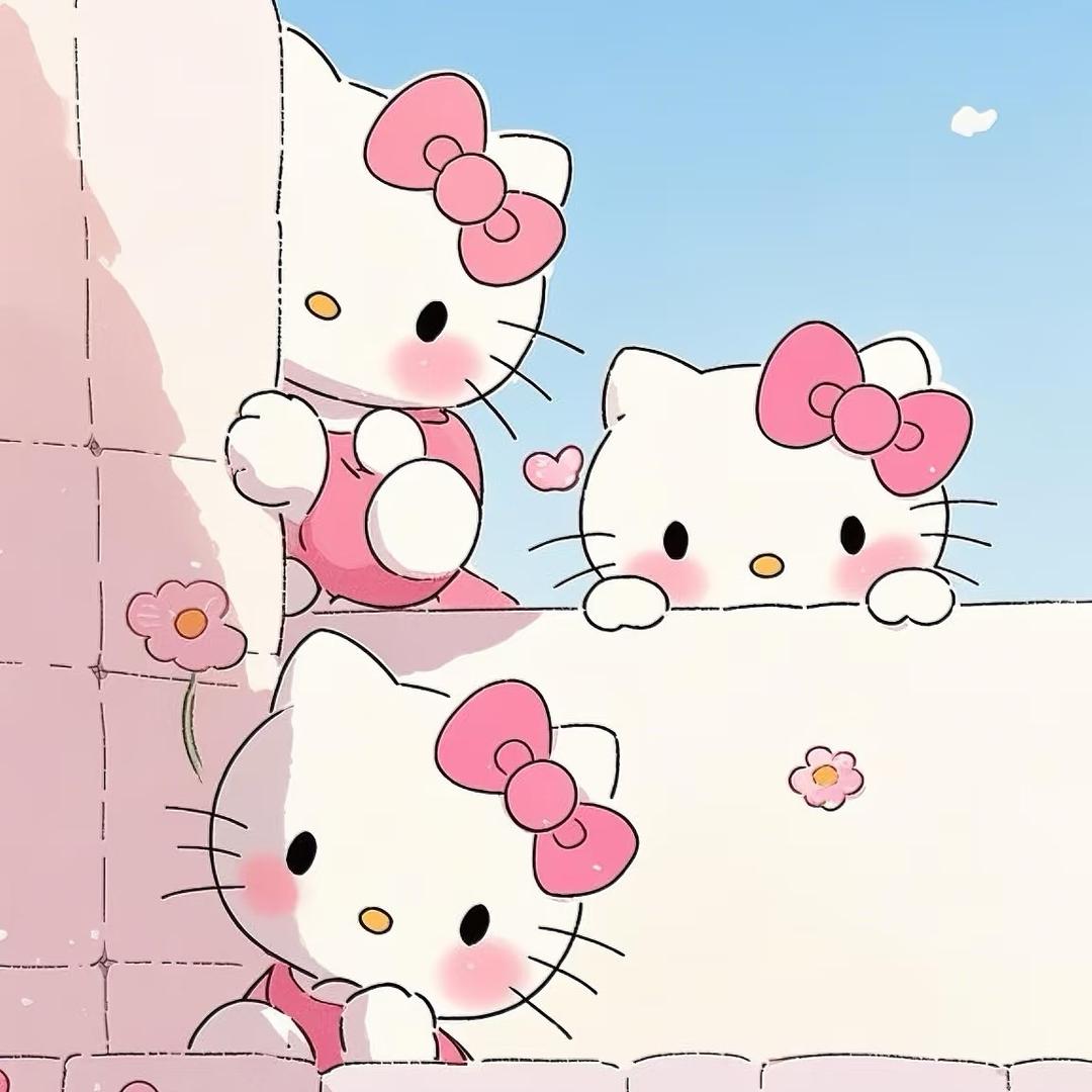 超红大橘子🍊.