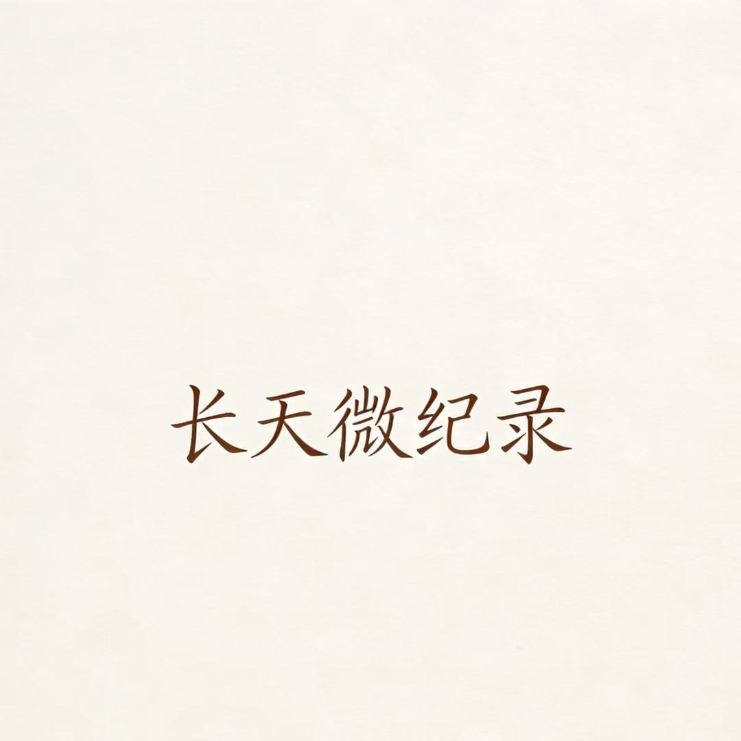 长天微纪录