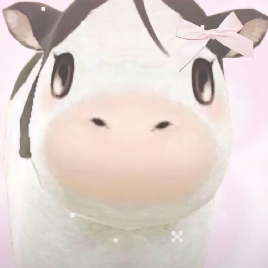 小波本