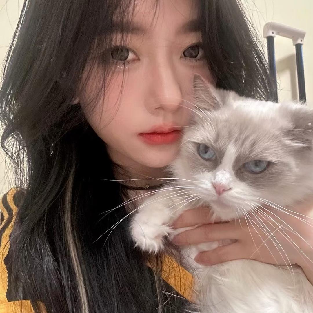 猫咪耶