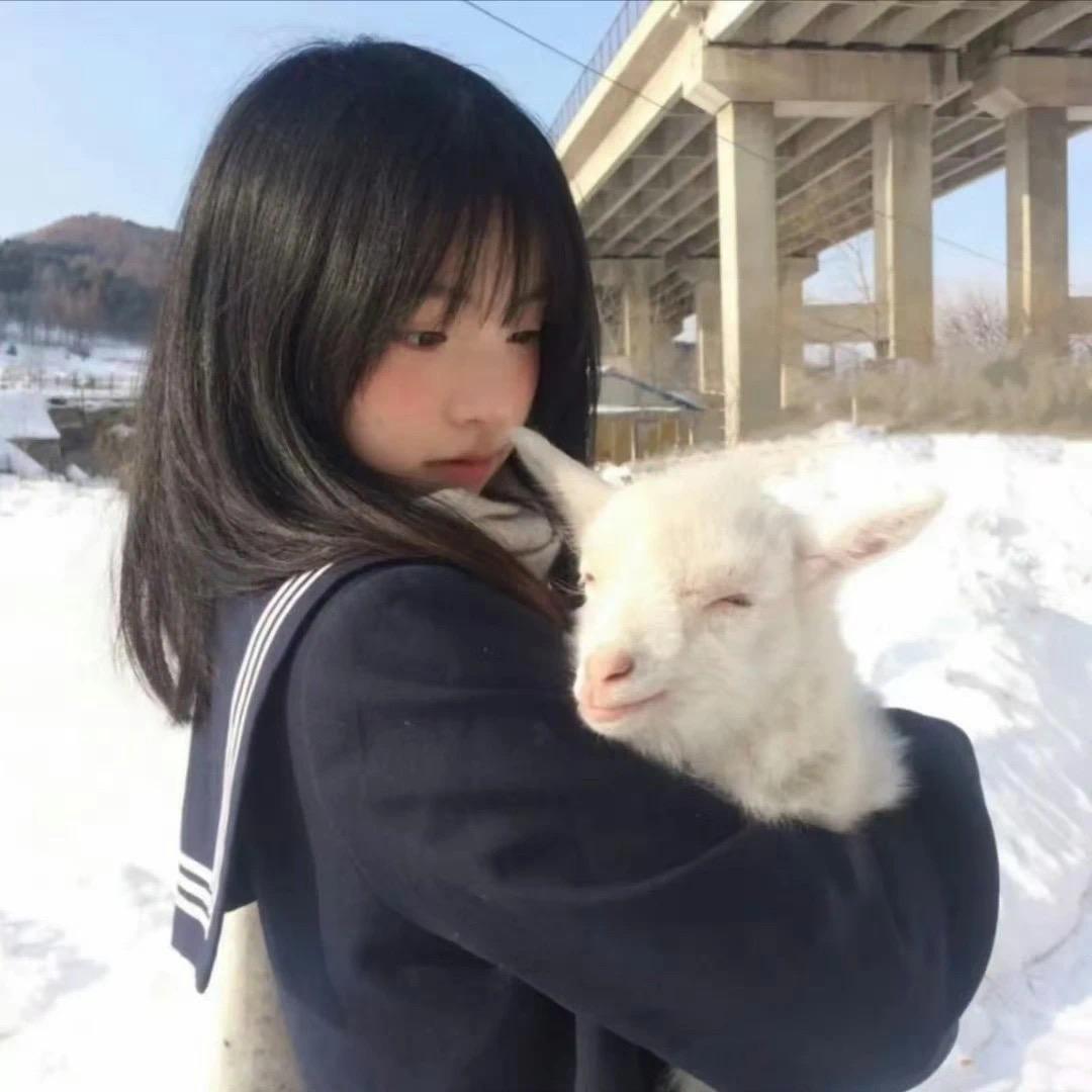 超级凶鸭