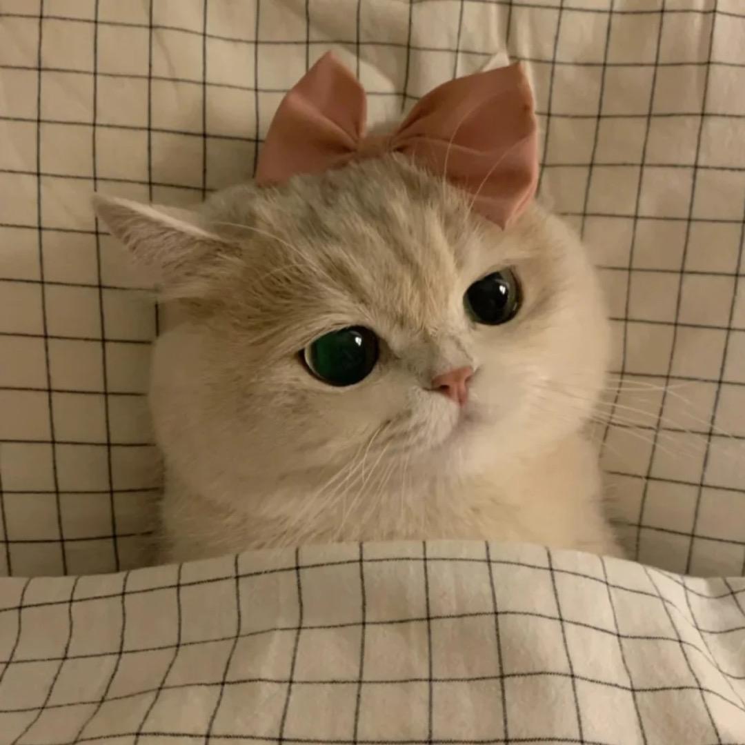 小小爆