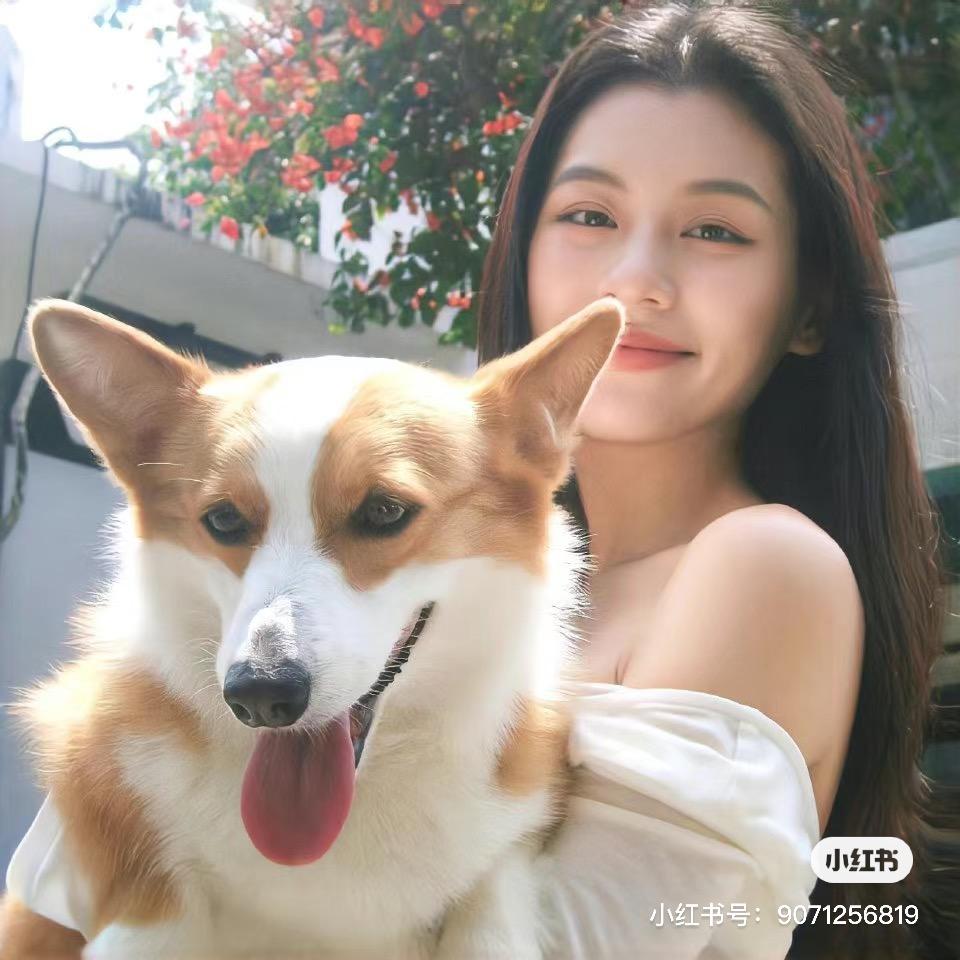吐个泡泡🫧