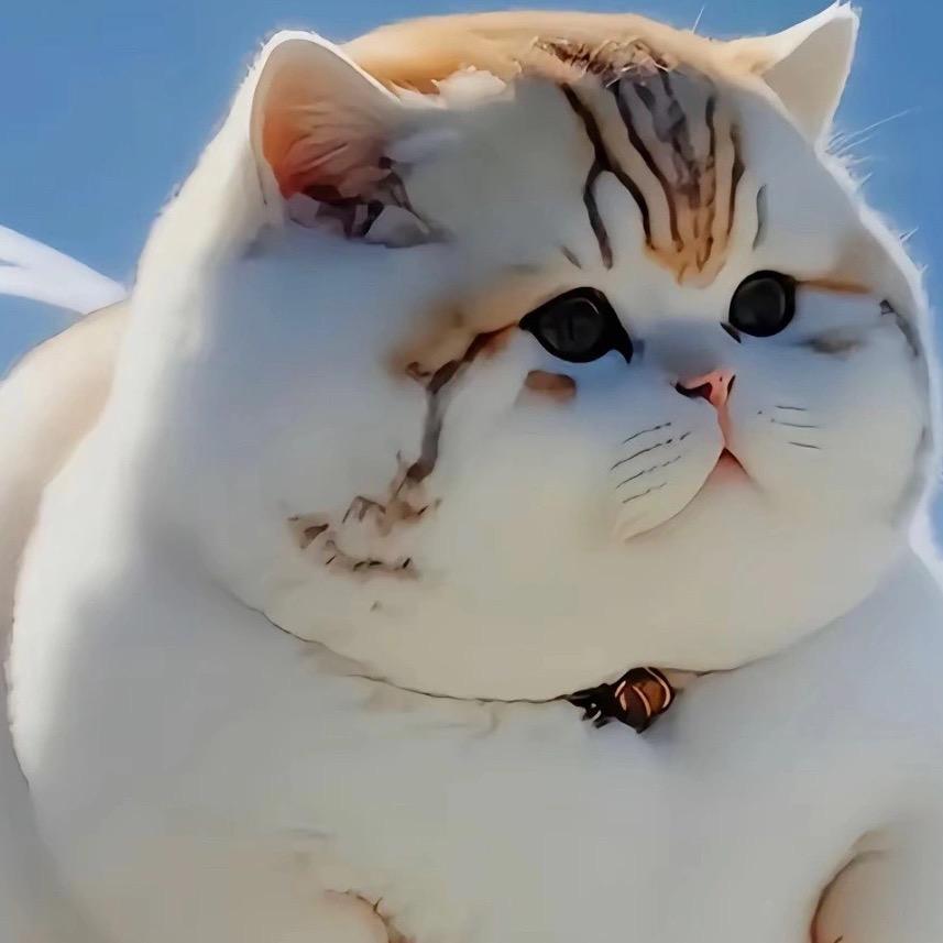2025721舞团启航