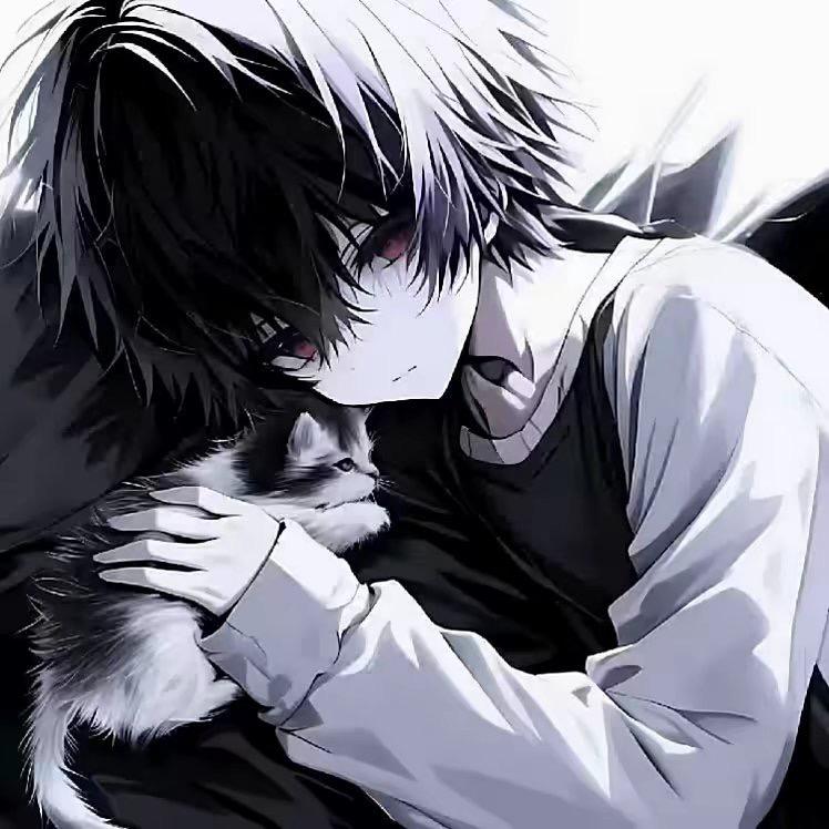 qaq