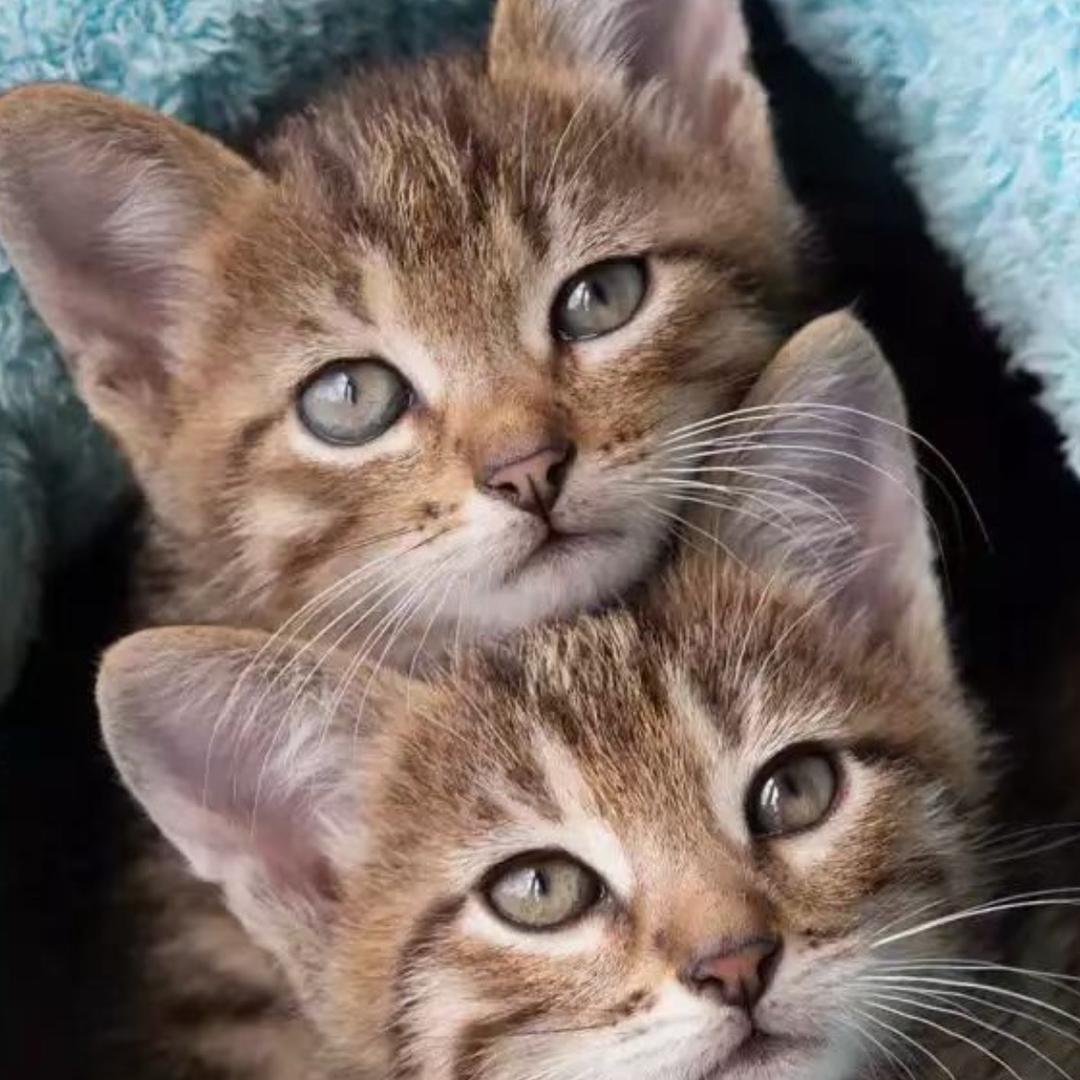 不忘初心，继续前行