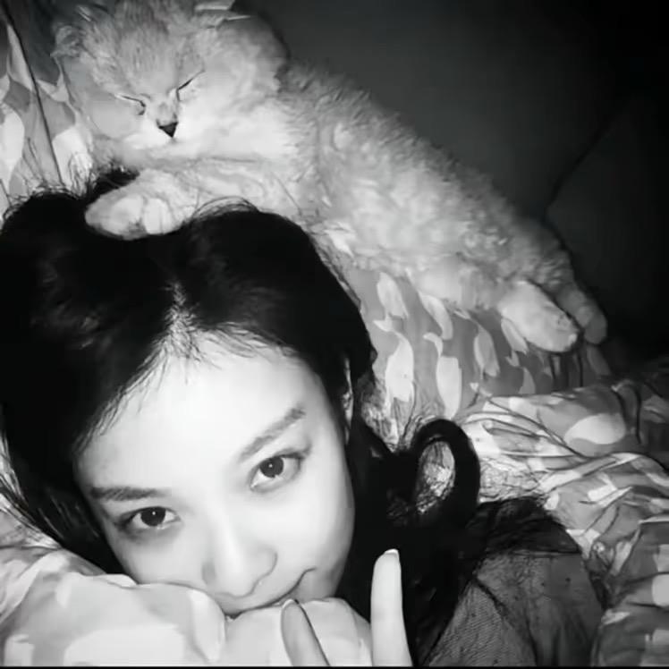 王6