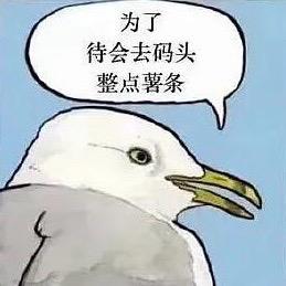 啊哈嘿吼哦