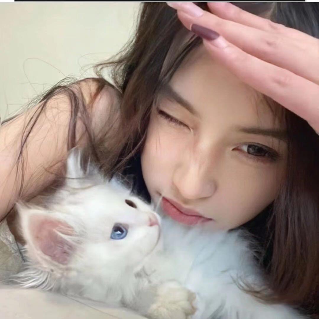 美妆种草小佳琦