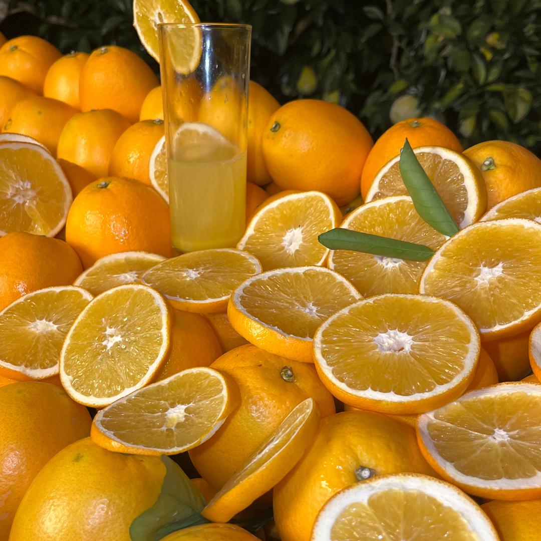 赣南崇义脐橙果业