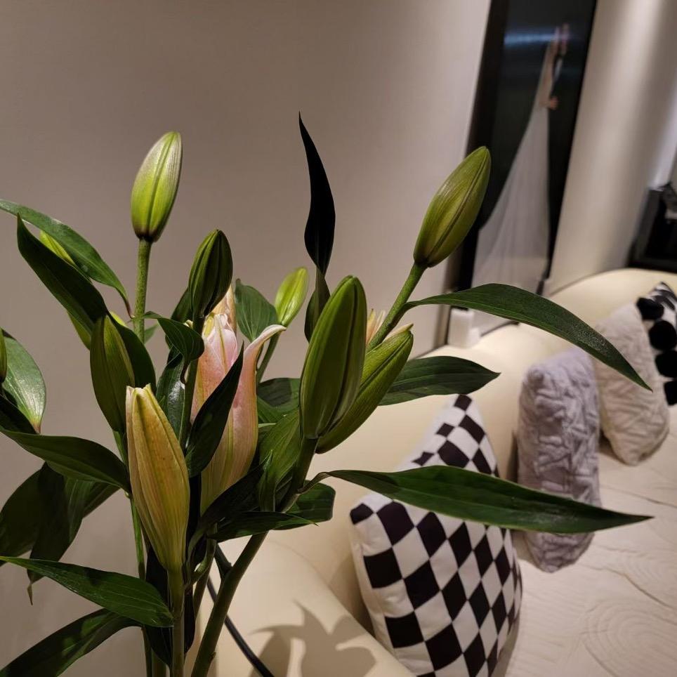 我在婚礼现场等你