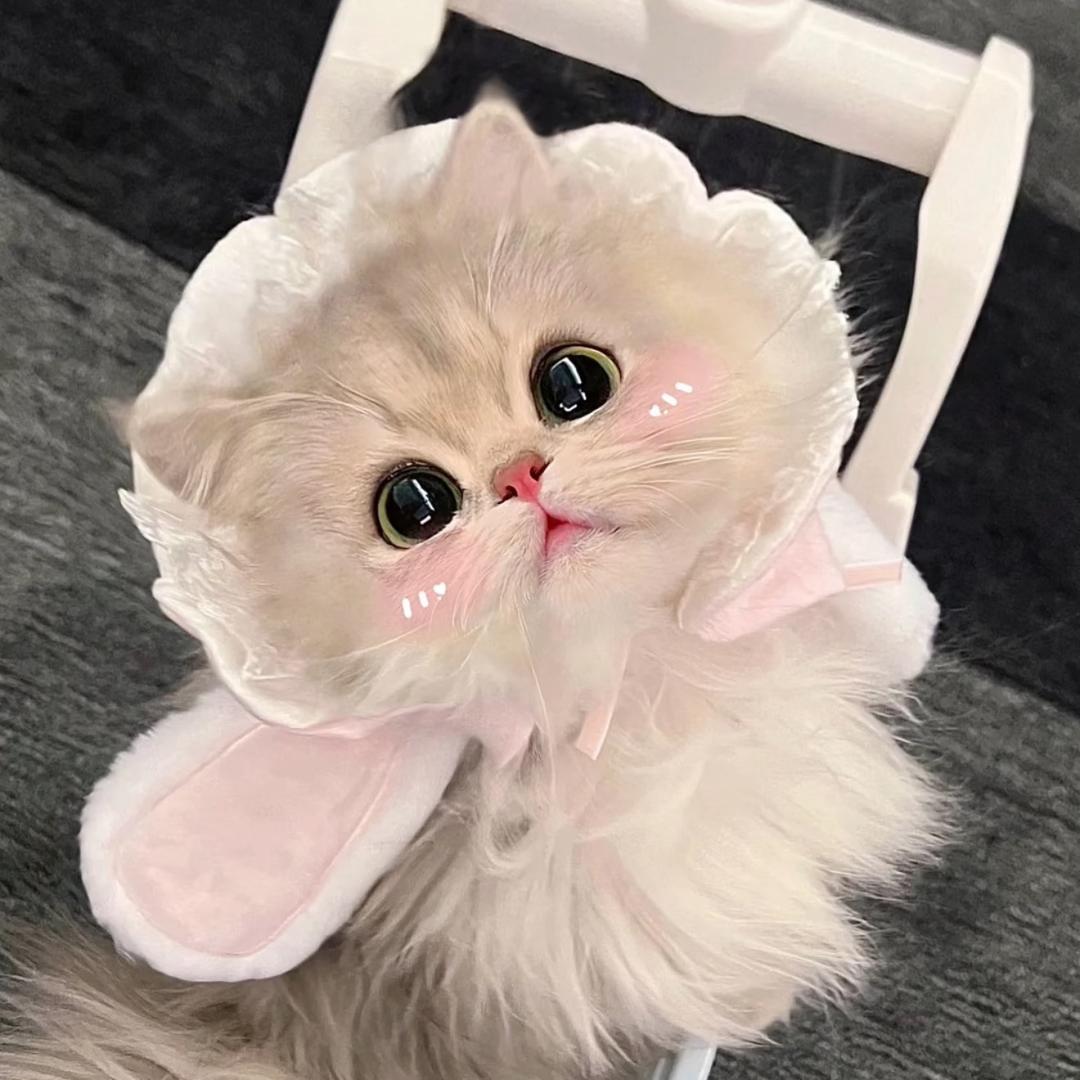 李边请.L