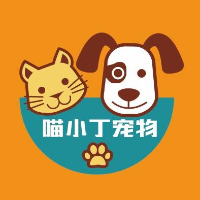 喵小丁宠物