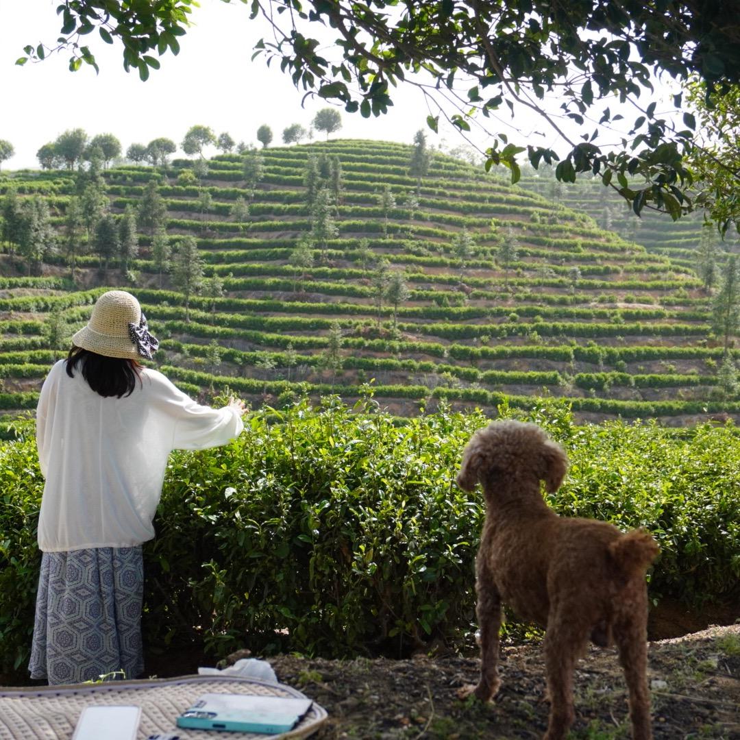 余生好好爱自己吧