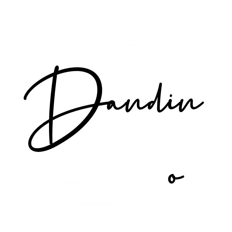 Dandino眼镜