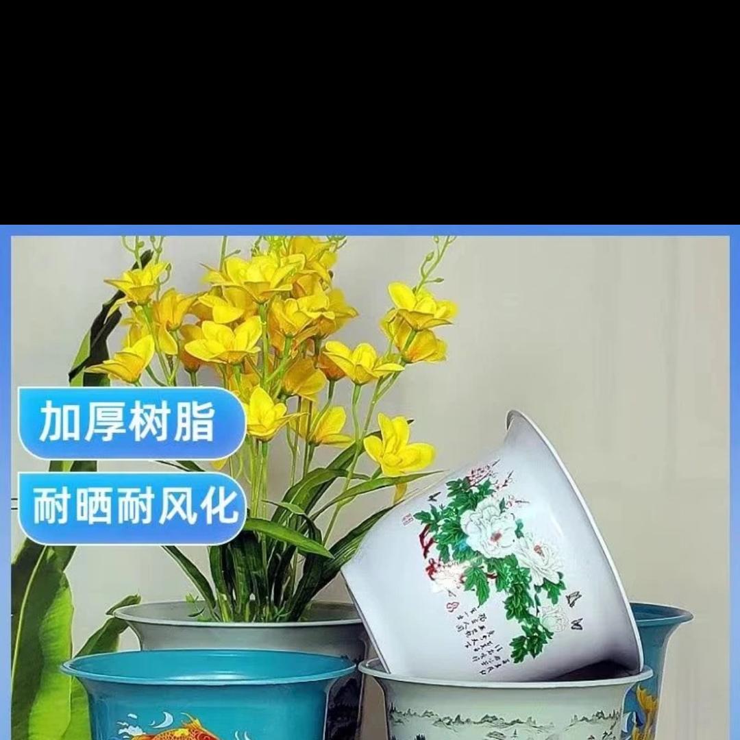森莱硕园艺