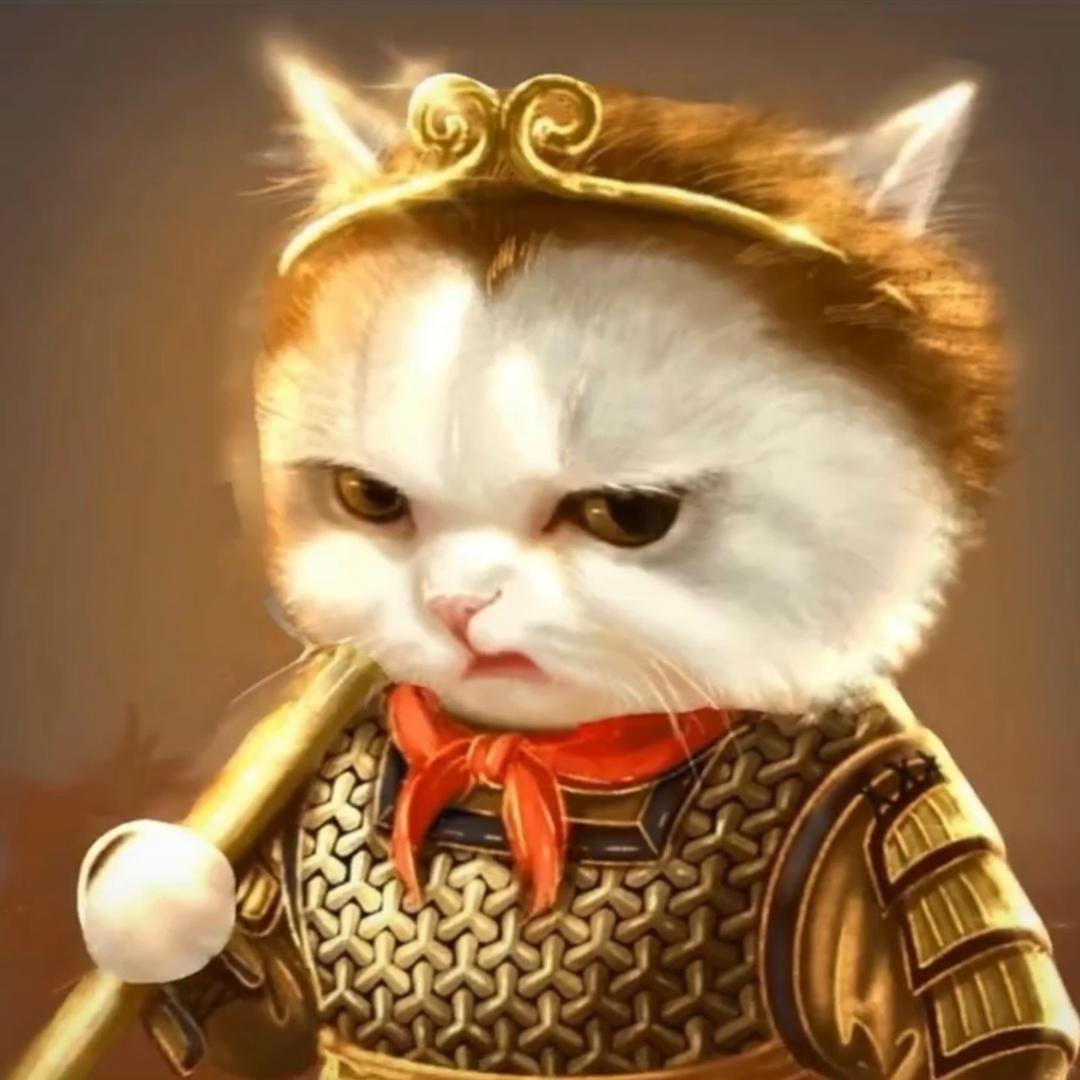 野猫🦅