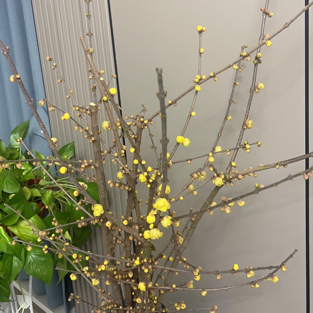 小英子（拒绝私聊）