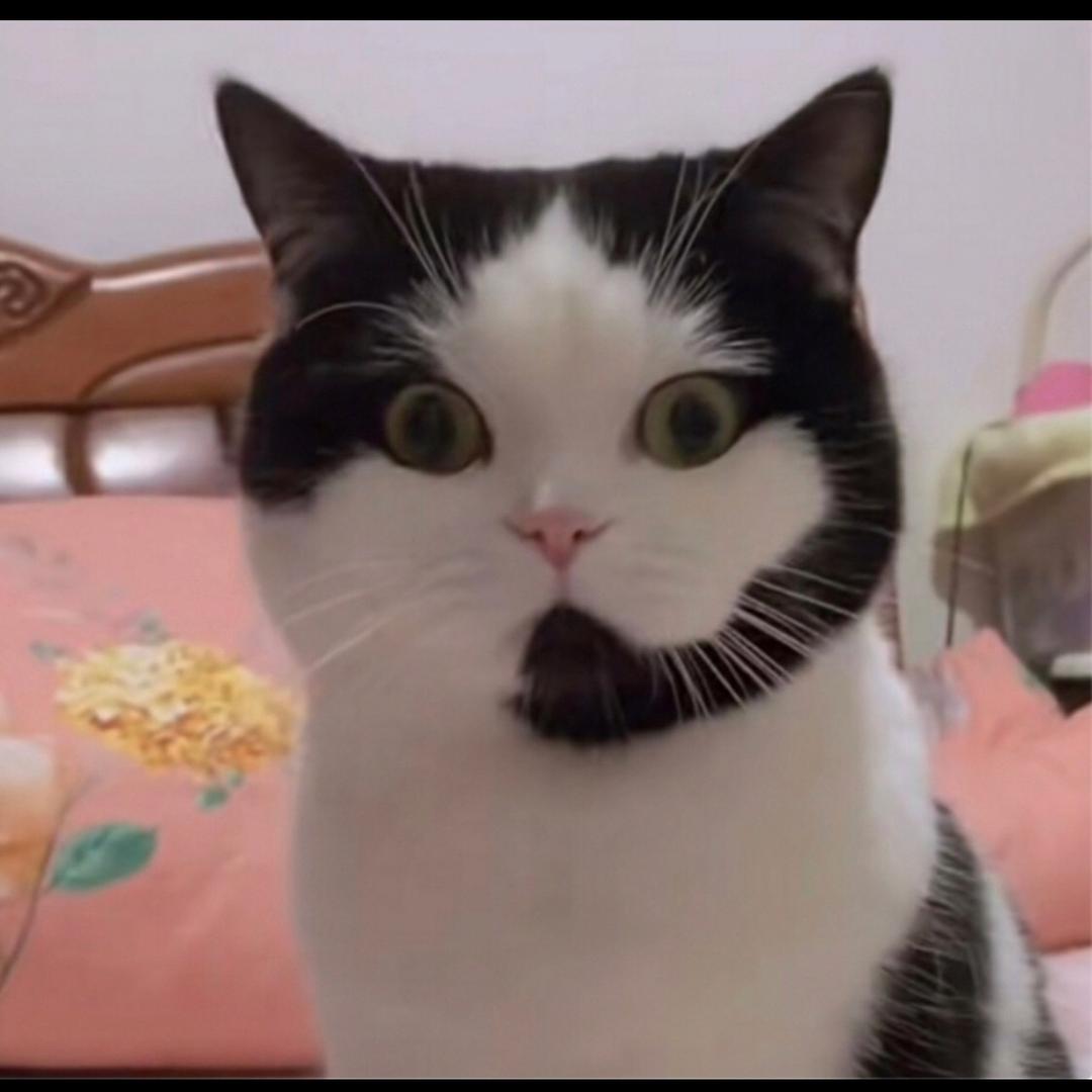 猩猩热游a