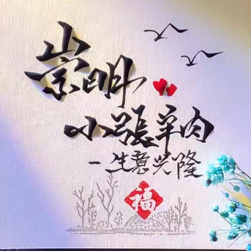 崇明小张羊肉批发