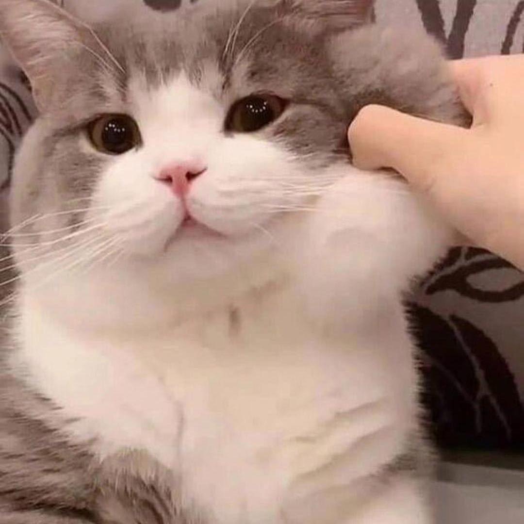 @段段和你有个梦。。。