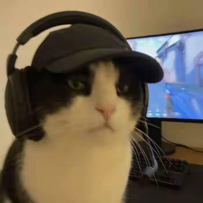 小姜流量真实测评（主页避坑👗）