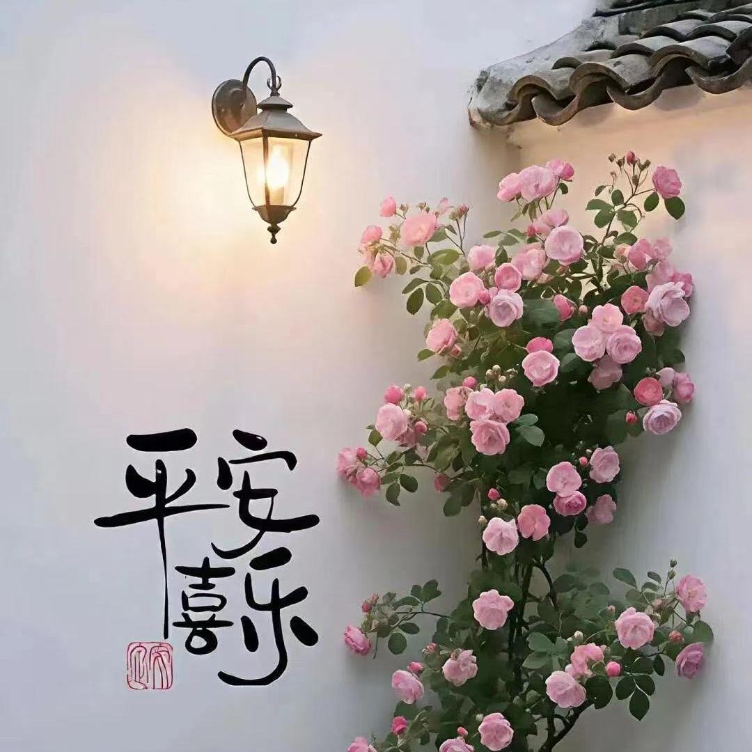 三横一竖我姓王🌹