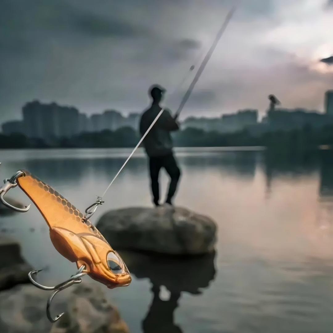娱鱼鱼鱼娱🎣