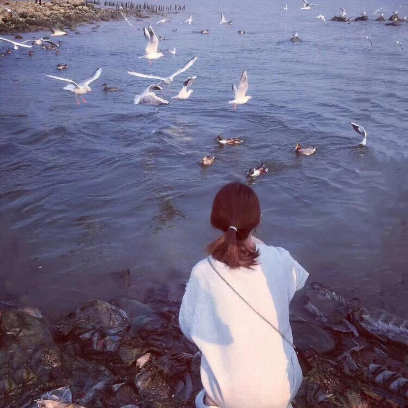 @曾菜菜爱吃香菜