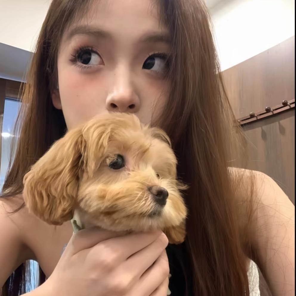 1块小蛋糕