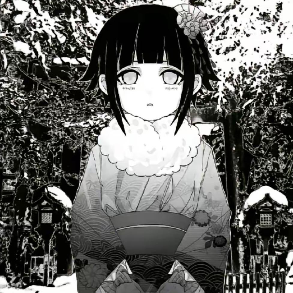小伍Z1