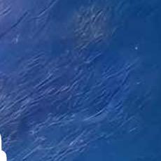 좋은 제품이 선호됩니다