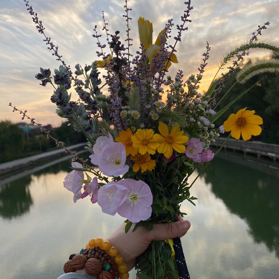 花狐🦊