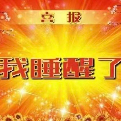 午夜顽皮哥