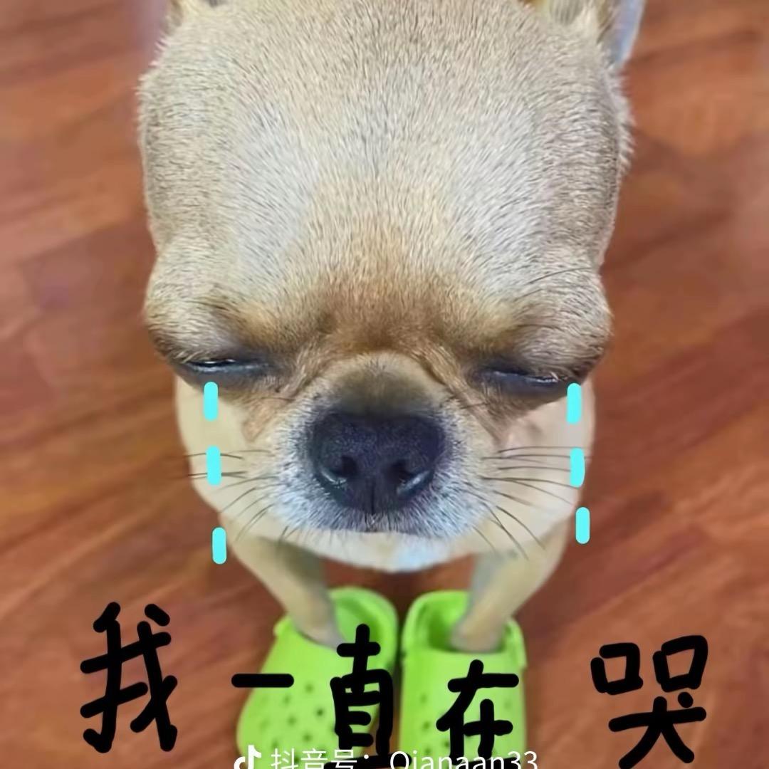 由于nvwang