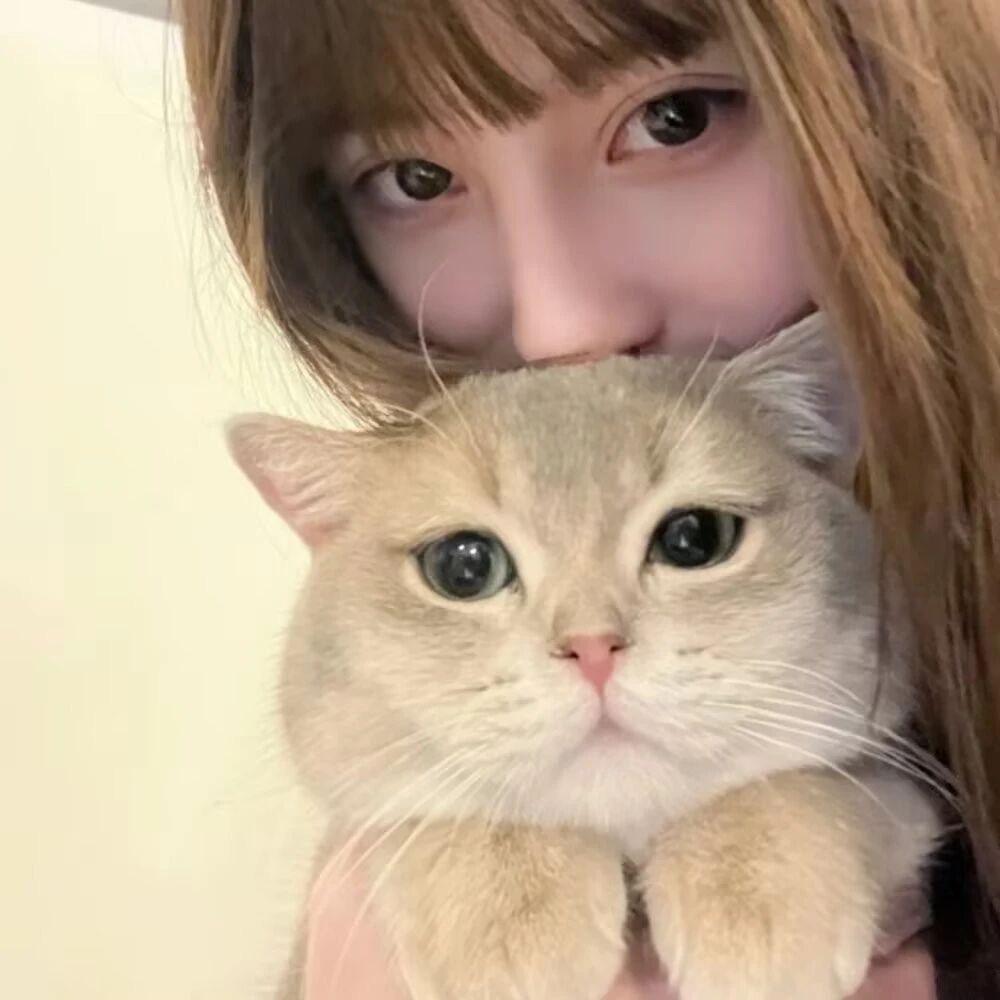 困困猫