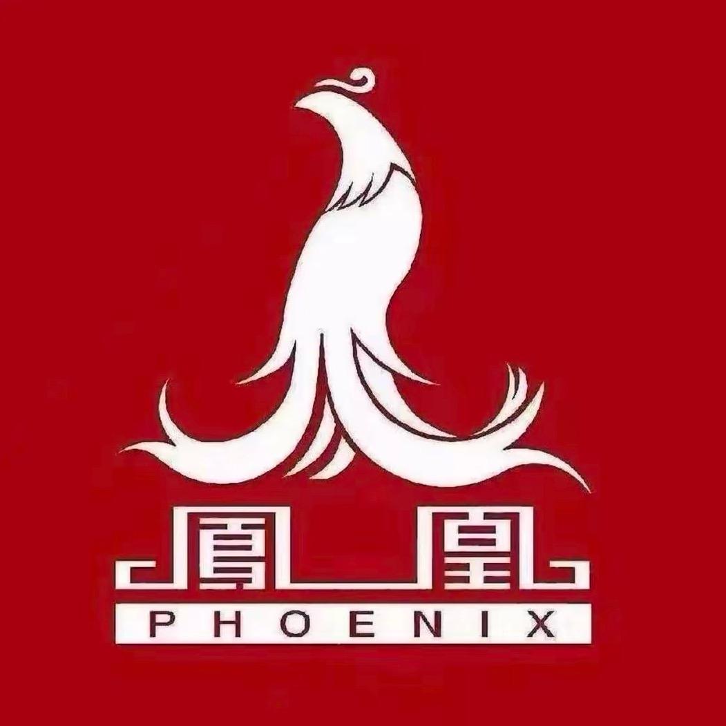 凤凰新款电动车(珍)