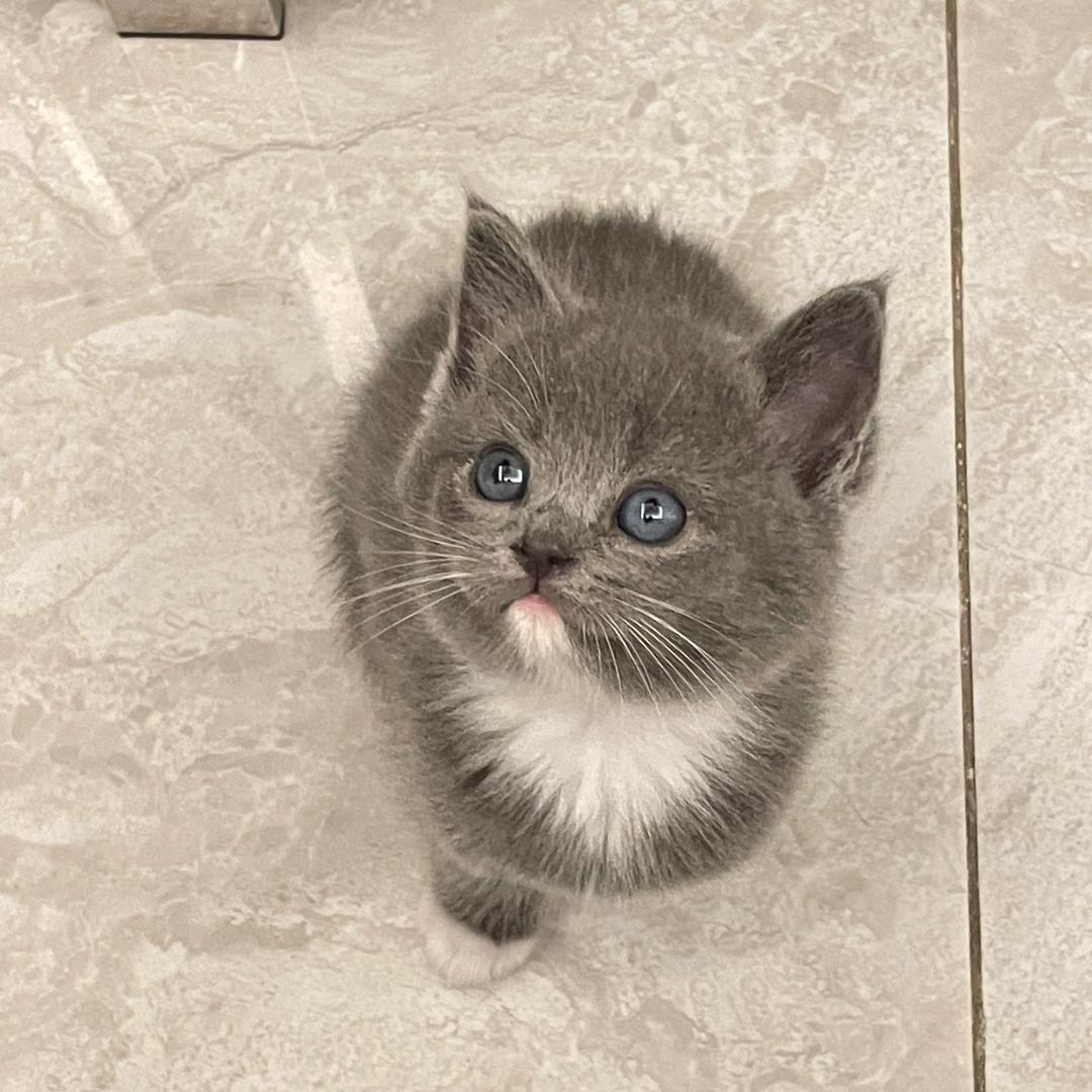 运运崽和屁屁仔