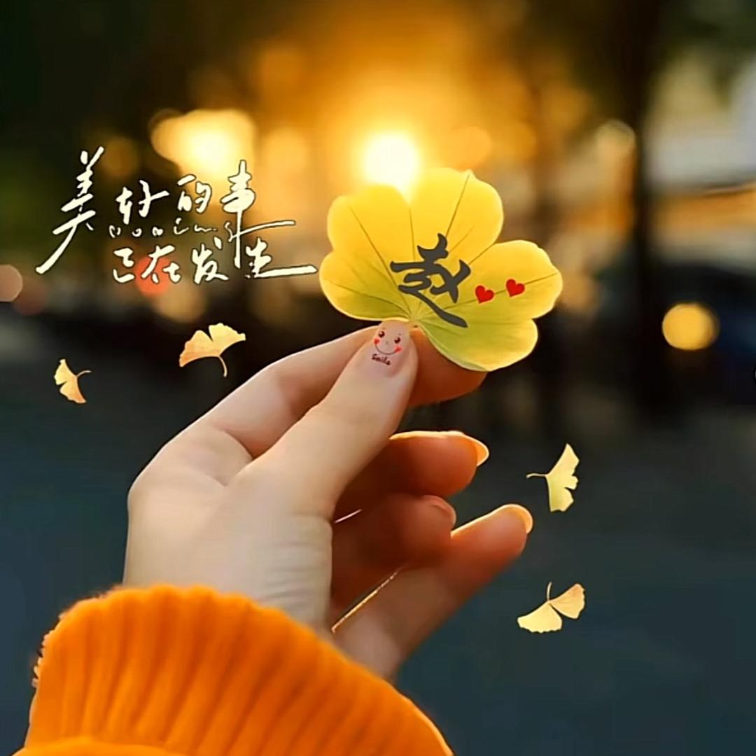 一叶知秋🍂