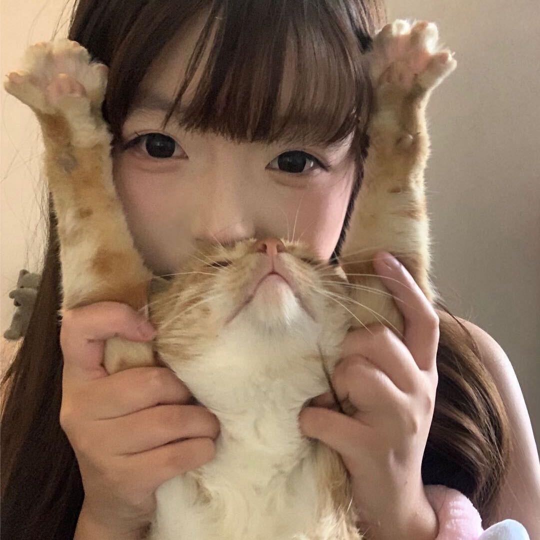 喵喵酱