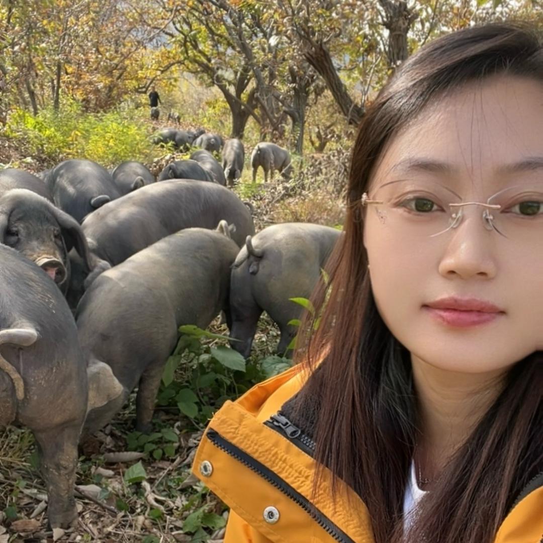 类类沂蒙山散养黑猪